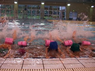 101146_01.jpg 101146_01.jpg